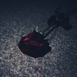 手机看片福利视频
