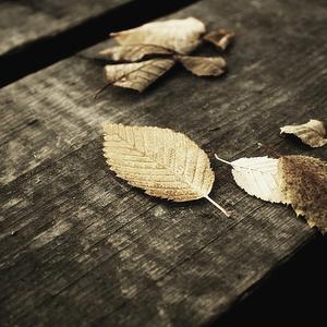 手机看片福利视频
